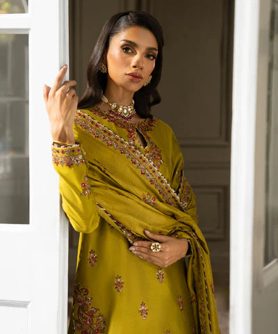 3 Piece - Embroidered Cotton Net Suit